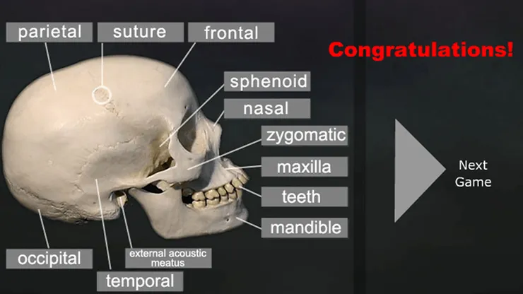 HTML 5 Medical application